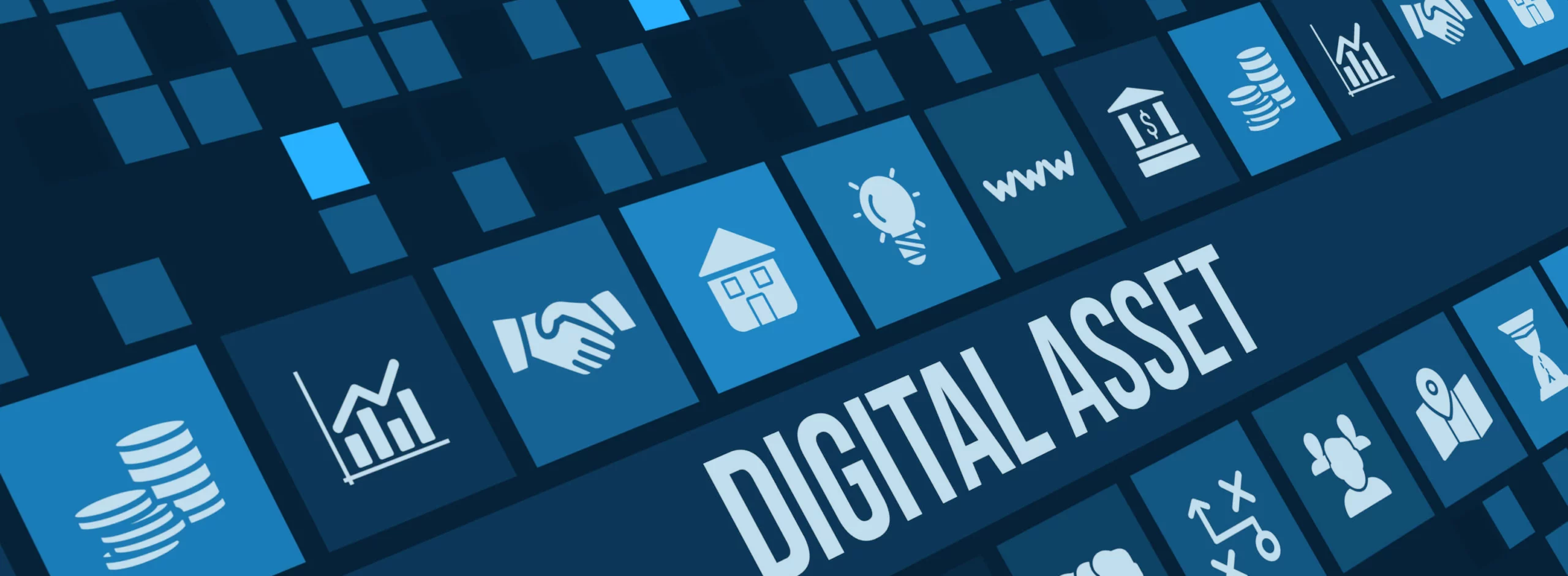 Digital Asset Management
